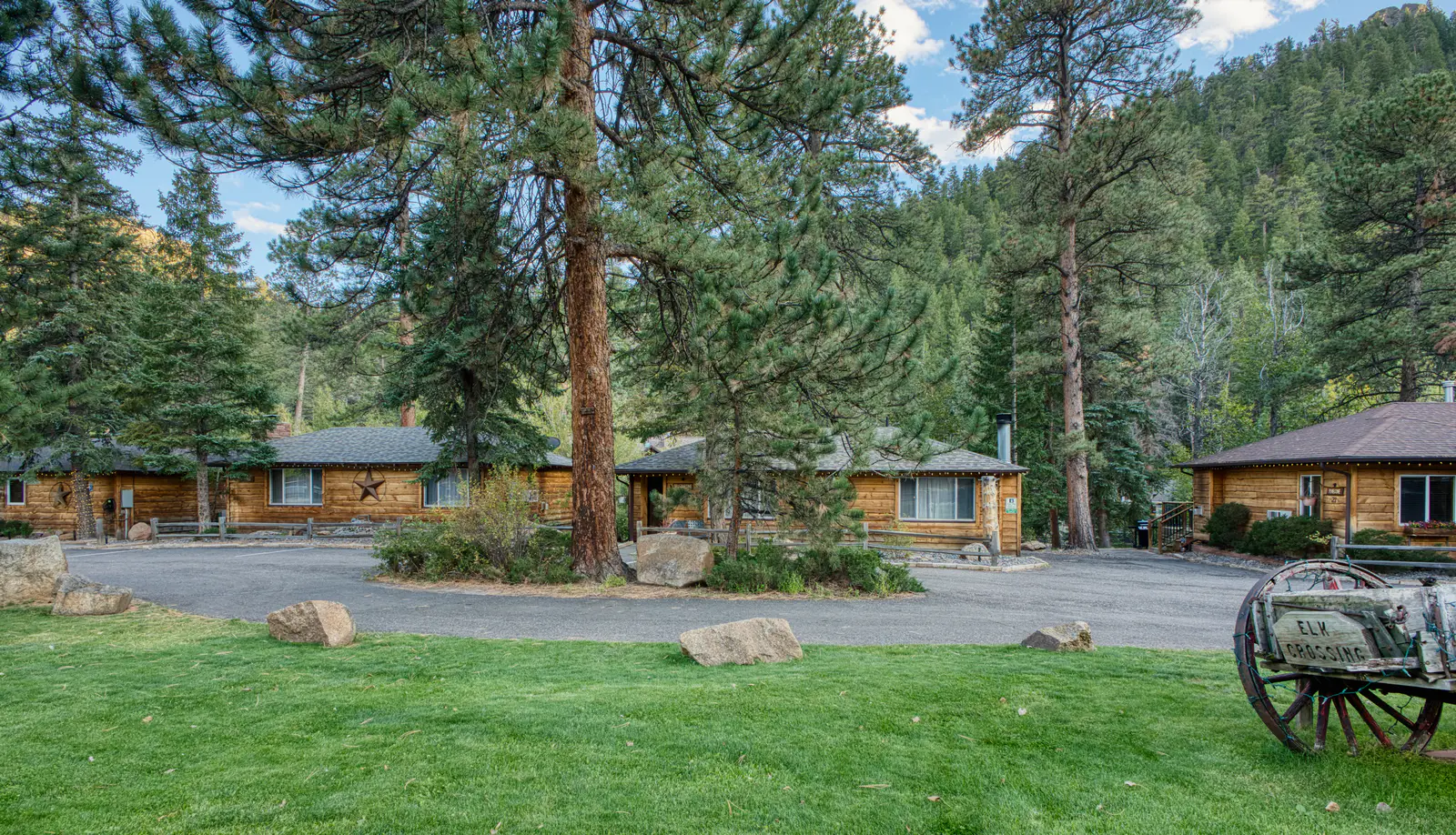 Fall River Cabins surrounded by pine trees in Estes Park